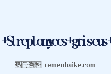 +Streptomyces+griseus+是什么意思的图片